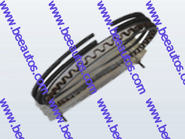 Styre Engine Piston Ring